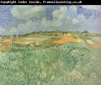 Vincent Van Gogh Plain near Auvers (nn04)